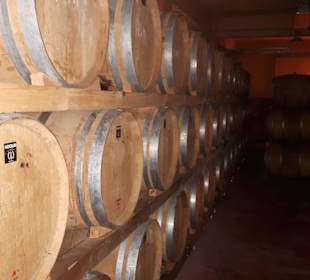 Führung Weinkellerei Boutari