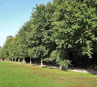 Rundgang durch den Hamburger Stadtpark