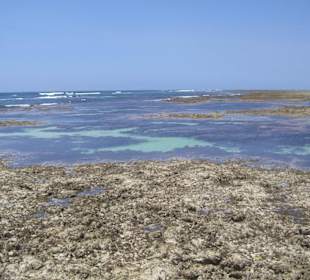 Ausflug Glasbodenboot Diani Beach