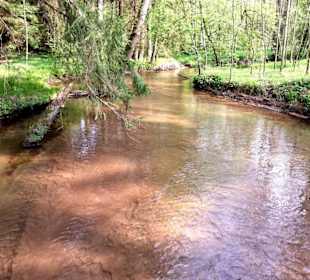 Im April Weg zum Birkensee
