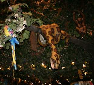 Schlange und Papagei