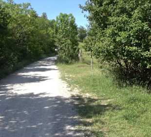 Früchtetrauf - Wurmlinger Kapellenwegle