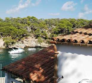 View from the uphill