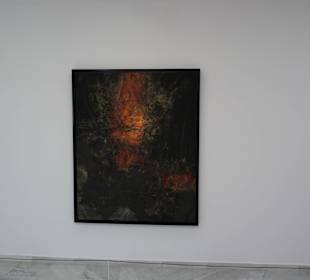 Fundacion Cesar Manrique