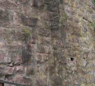 Burgruine Sterneck