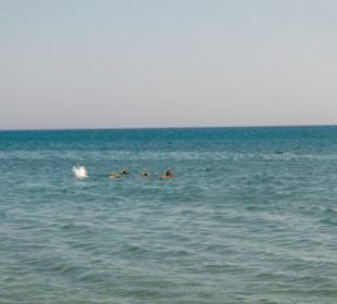 Strand von Prasonissi