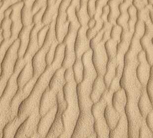 Dünnen von Corralejo 