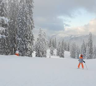 Skifahren