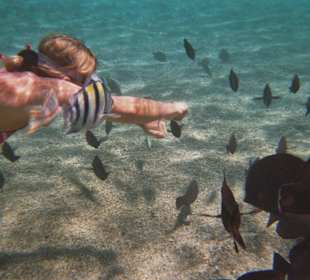 Ein Schorchelerlebniss