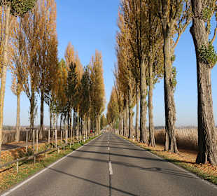 Insel Reichenau