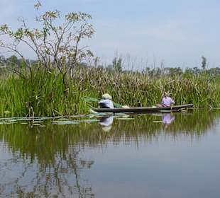Orang Asli Frauen beim Ernten von Samen
