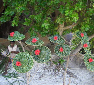 Hutmacher am Strand La Dique