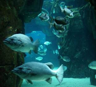 Einblick in eins der kleineren Becken!