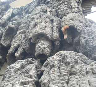 Muro istoriato di palazzo valdstejn