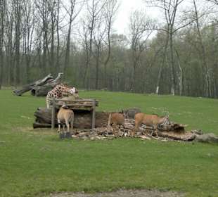 Zoo Ostrava