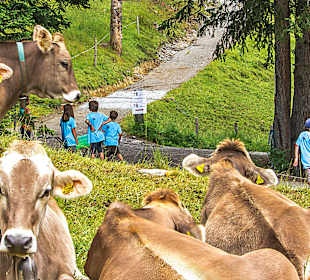 Auf dem Weg zum Globi Haus