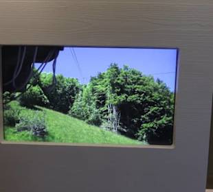 Heimatschutzzentrum in der Villa Patumbah