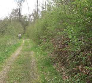 Premiumwanderweg Hochgebürzelt