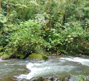 La Paz Waterfall Gardens
