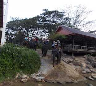 Elefantencamp Chiang Mai