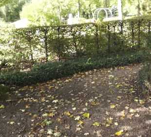 Französischer Garten