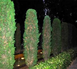 Schöner Garten am Abend