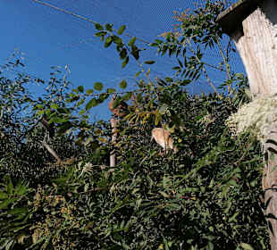 Zoologischer Garten Prag