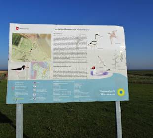 Infotafel zu den Pütten im Langwarder Groden