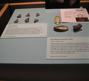 Rheinisches Landesmuseum