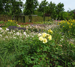 Impressionen aus dem Park der Gärten