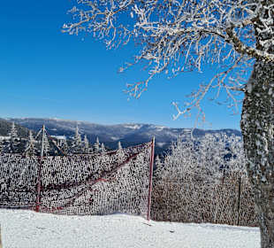 Wandern Arbergebiet