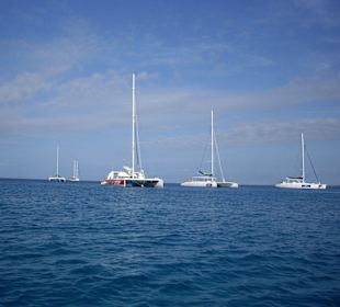 Katamarane im Hafen von Bayahibe