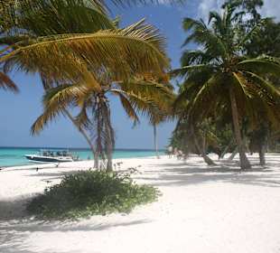 Insel Saona