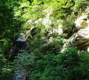 Wanderung durch die Kleine Luxemburger Schweiz