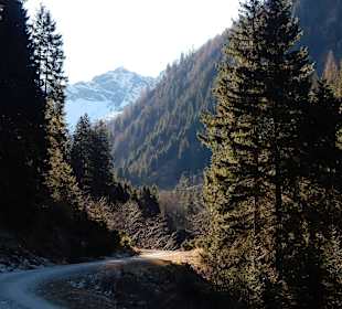 Auf der Wanderung