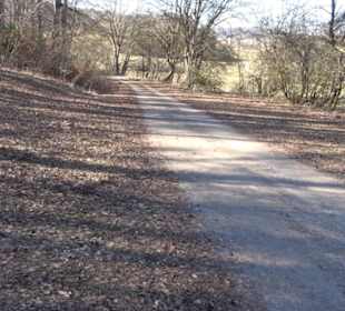 Burgruine Hohenstein