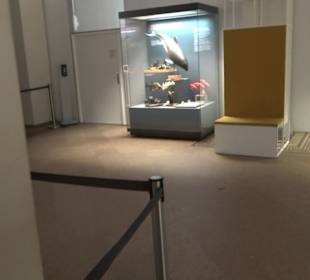 Naturkundemuseum