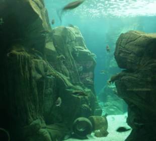 Kretaquarium