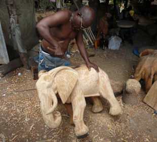 Tiere in allen Größen