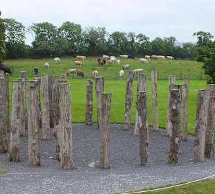 Knowth Woodhenge