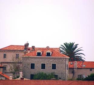 Die Altstadt Dubrovnik