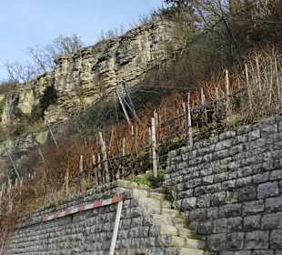 Weinberge bei den Felsengärten