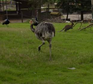 Naturwildpark Granat 