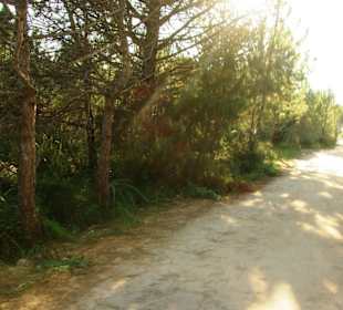 Naturschutzgebiet Gegend