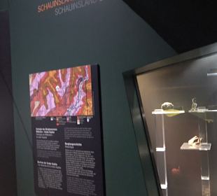 Staatliches Naturkunde Museum