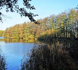 Eindrücke vom Rundweg durch den Volkspark Bokel