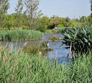 Das Vogelschutzgebiet im Parc de la Prade