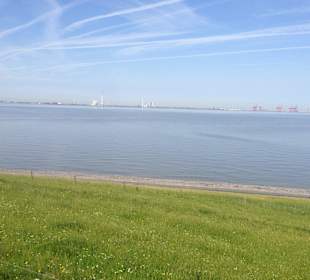 Das immer ruhige Meer