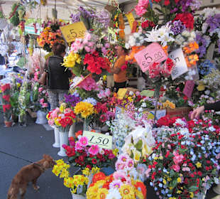 Markt in der Altstadt Luccas