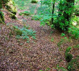 Wanderung zum Bärenfels